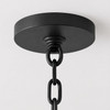 Varaluz - 569M01BL - One Light Pendant - Urchin - Black