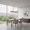 Varaluz - 309N10HG - Ten Light Linear Pendant - Matrix - Havana Gold
