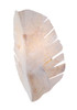 Varaluz - 901K02A - Two Light Wall Sconce - Banana Leaf - Gold Dust