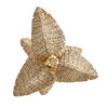 Varaluz - 901C09FGN - Nine Light Chandelier - Banana Leaf - French Gold/Natural Seagrass
