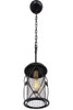 Varaluz - 612610 - One Light Pendant - Harlequin - Warm Bronze/Gold