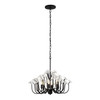 Varaluz - 378C06MB - Six Light Chandelier - Wildflower - Matte Black