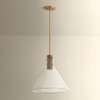 Hudson Valley - 1619-PBR - One Light Pendant - West Hill - Patina Brass