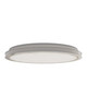 Currey and Company - 9999-0086 - LED Flush Mount - Aydan - Natural / Antique Nickel