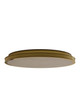 Currey and Company - 9999-0084 - LED Flush Mount - Aydan - Natural/Polished Antique Brass