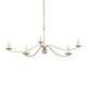 Currey and Company - 9000-1486 - Five Light Chandelier - Franz - Champagne