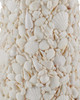 Currey and Company - 8000-0189 - One Light Floor Lamp - Turbinella - Sugar White / Natural