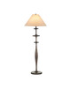 Currey and Company - 8000-0178 - One Light Floor Lamp - Aqueous - Dark Bronze