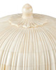 Currey and Company - 1200-1140 - Box - Surti - Natural