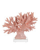 Currey and Company - 1200-1082 - Coral Set of 2 - Coral - Coral/Clear