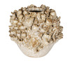 Currey and Company - 1200-1052 - Vase - Tidala - Milky White
