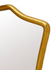 Currey and Company - 1000-0181 - Mirror - Aegis - Gold Leaf
