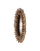 Currey and Company - 1000-0176 - Mirror - Cobbler - Natural