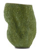 Currey and Company - 1200-0287 - Vase - Jackfruit - Green/Gold
