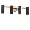 Generation Lighting - GLV2084SB - Four Light Vanity - Zentro - Satin Brass