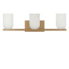 Generation Lighting - GLV1973SB - Three Light Vanity - Neblina - Satin Brass