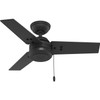 Hunter - 50320 - 36" Ceiling Fan - Cassius - Matte Black