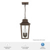 Hunter - 46085 - Three Light Outdoor Pendant - Spring Cove - Matte Bronze