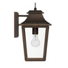 Hunter - 46081 - One Light Outdoor Wall Mount - Spring Cove - Matte Bronze
