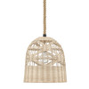 Hunter - 48200 - One Light Pendant - Baskel - Matte Black