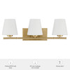 Hunter - 48114 - Three Light Vanity - Fauna Grove - Alturas Gold