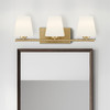 Hunter - 48114 - Three Light Vanity - Fauna Grove - Alturas Gold