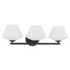 Hunter - 48109 - Three Light Vanity - Celestial Valley - Matte Black