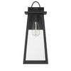 Hunter - 46055 - One Light Outdoor Wall Mount - Ivory Dusk - Matte Black