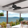 Hunter - 53013 - 52" Ceiling Fan - Tropic View - Matte Black