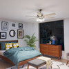 Hunter - 52901 - 52" Ceiling Fan - Fonthill - Brushed Nickel