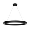 Hunter - 13120 - LED Chandelier - Canoga - Matte Black
