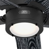 Hunter - 52850 - 52" Ceiling Fan - Erling - Matte Black