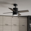 Hunter - 53433 - 42" Ceiling Fan - Beck - Matte Black