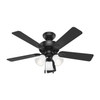 Hunter - 52789 - 44" Ceiling Fan - Swanson - Matte Black