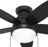 Hunter - 52613 - 44" Ceiling Fan - Lilliana - Matte Black