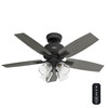 Hunter - 52425 - 44" Ceiling Fan - Gatlinburg - Matte Black