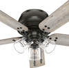Hunter - 52379 - 52" Ceiling Fan - Shady Grove - Noble Bronze