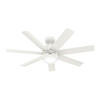 Hunter - 52375 - 52" Ceiling Fan - Brazos - Fresh White