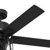 Hunter - 51689 - 52" Ceiling Fan - Lawndale - Matte Black