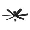 Hunter - 51535 - 52" Ceiling Fan - Brazos - Matte Black