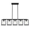 Hunter - 48013 - Five Light Chandelier - Astwood - Matte Black