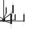 Hunter - 45232 - Nine Light Chandelier - Sunjai - Matte Black