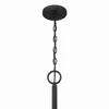 Minka-Lavery - 3638-899 - Ten Light Pendant - Veil - Dark Matte Black