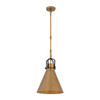 Minka-Lavery - 13105-855 - One Light Pendant - Fenric - Legacy Brass