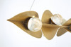 Minka-Lavery - 3977-732-L - LED Island Pendant - Pod - Legacy Brass