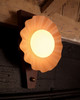 Alora - WS354012PEC - One Light Wall Sconce - Furrow - Peach