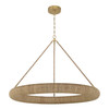 Crystorama - OAK-7539-SG - LED Chandelier - Oakley - Soft Gold