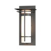 Hubbardton Forge - 305992-SKT-20-GG0066 - One Light Outdoor Wall Sconce - Banded - Coastal Natural Iron