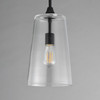 Maxim - 12886CLBK - One Light Pendant - Hudson - Black