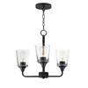 Maxim - 12873CLBK - Three Light Chandelier - Hudson - Black